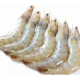 Jumbo Shrimp